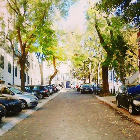 Apartment Typical *